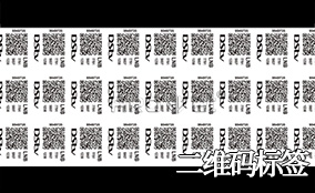 v7777威尼斯A-1喷码平台一体机Technical Parameters